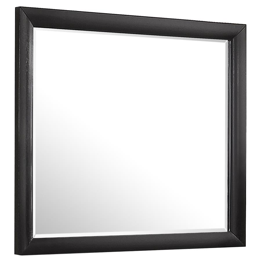 Briana Black Dresser Mirror - furniture place usa