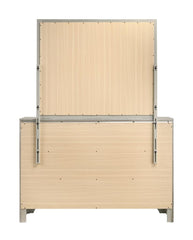 Salford Silver Dresser Mirror - furniture place usa