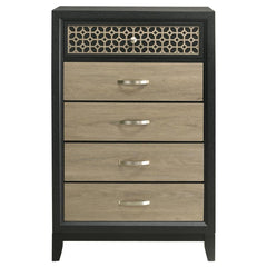 Valencia Brown Chest - furniture place usa
