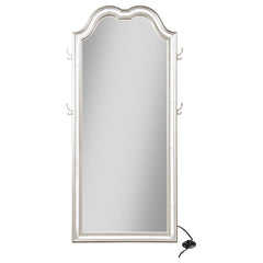 Evangeline Silver Floor Mirror - furniture place usa