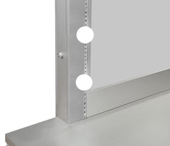 Eleanor Silver Dresser Mirror - furniture place usa