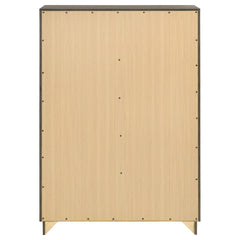 Janine Grey Chest - furniture place usa