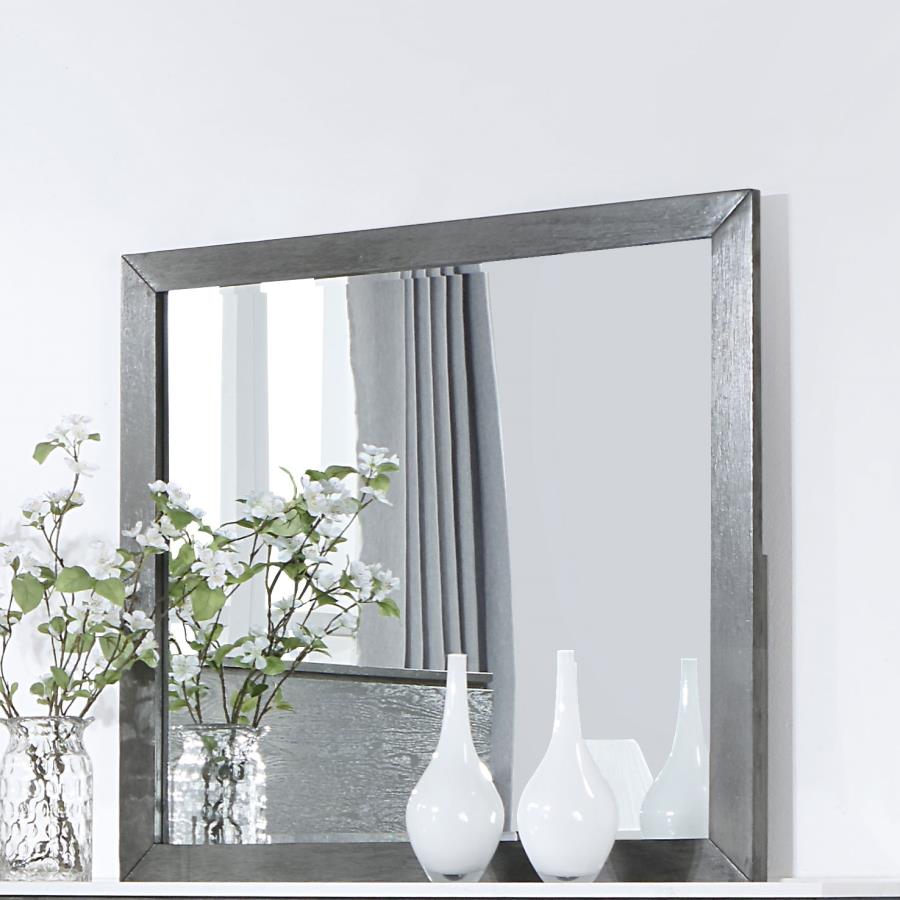 Nathan Grey Dresser Mirror - furniture place usa