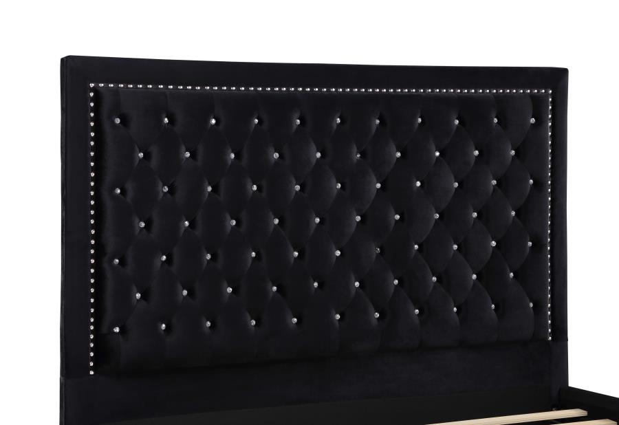 Hailey Black Queen Bed - furniture place usa