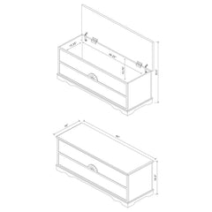 Paula Brown Cedar Chest - furniture place usa