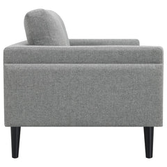 Rilynn Grey 2 Pc Sofa Set - furniture place usa