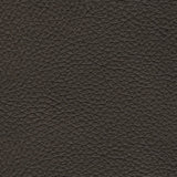 Belziani Sofa and Loveseat - furniture place usa