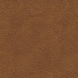 Carianna Sofa and Loveseat - furniture place usa