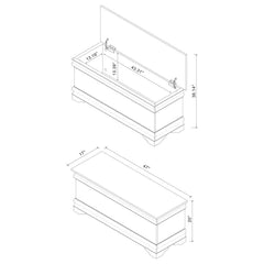 Pablo Brown Cedar Chest - furniture place usa