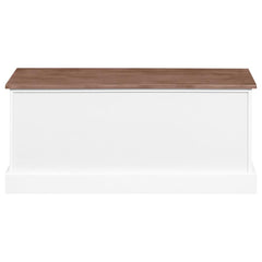 Alma Brown Storage Bench - furniture place usa