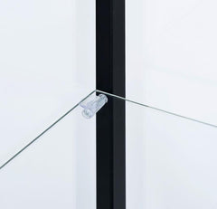 Delphinium Black Curio Cabinet - furniture place usa