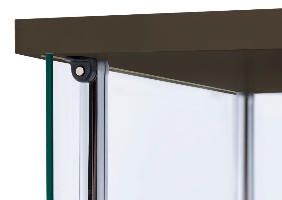 Bellatrix Brown Curio Cabinet - furniture place usa