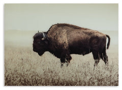 Brutus Wall Art - furniture place usa