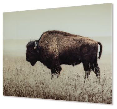Brutus Wall Art - furniture place usa