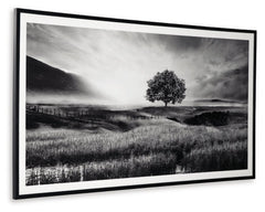 Deborland Wall Art - furniture place usa