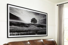 Deborland Wall Art - furniture place usa