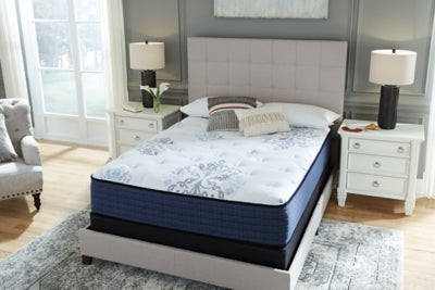 Bonita Springs Plush Queen Mattress with Better than a Boxspring Queen Foundation - furniture place usa