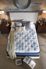 Mt Dana Plush Queen Mattress with Adjustable Head Queen Base - furniture place usa