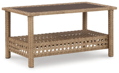 Braylee Outdoor Loveseat with Table (Set of 2) - furniture place usa