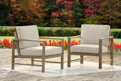 Fynnegan Lounge Chair with Cushion (Set of 2) - furniture place usa