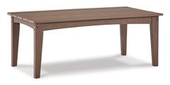 Emmeline Outdoor Sofa and Loveseat with Coffee Table - furniture place usa