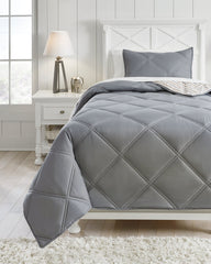 Rhey 2-Piece Twin Comforter Set - furniture place usa