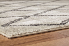 Jarmo 5' x 7' Rug