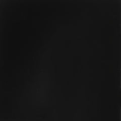 Ethan Black Pop Up Trundle - furniture place usa