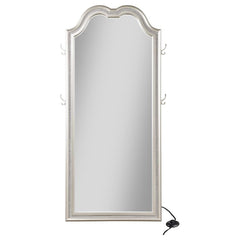 Evangeline Silver Floor Mirror - furniture place usa