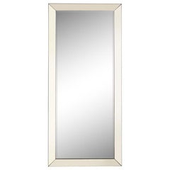 Barnett Silver Floor Mirror - furniture place usa