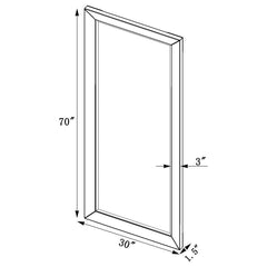 Barnett Silver Floor Mirror - furniture place usa