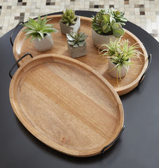 Jocelyne Tray (Set of 2) - furniture place usa