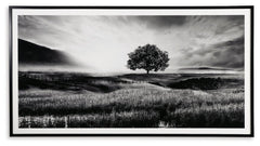 Deborland Wall Art - furniture place usa