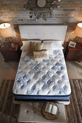 Mt Dana Euro Top Queen Mattress with Head-Foot Model-Good Queen Adjustable Base - furniture place usa