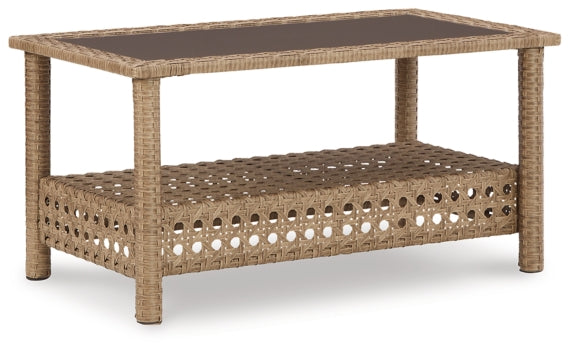 Braylee Outdoor Loveseat with Table (Set of 2) - furniture place usa