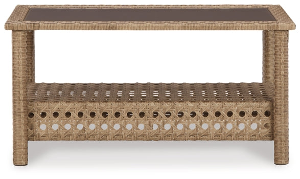 Braylee Outdoor Loveseat with Table (Set of 2) - furniture place usa
