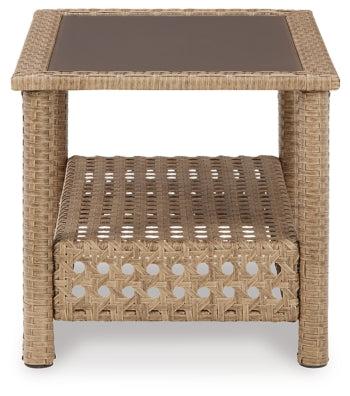 Braylee Outdoor Loveseat with Table (Set of 2) - furniture place usa